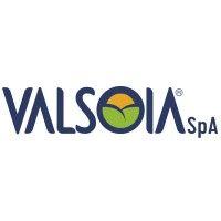 valsoia s.p.a. logo image