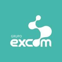 grupo excom logo image