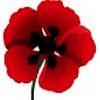 tall poppy consulting logo image