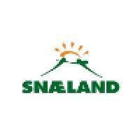 snaeland travel logo image