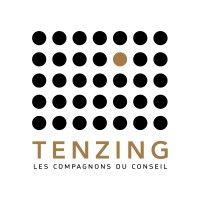 tenzing conseil logo image