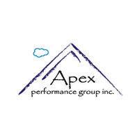 apex performance group inc. logo image