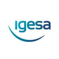 igesa logo image