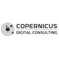 copernicus digital consulting logo image