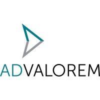 ad valorem group logo image