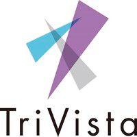 trivista capital inc. logo image