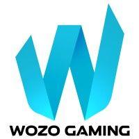 wozo gaming logo image