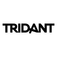 tridant pty ltd logo image