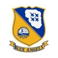 us navy flight demonstration squadron, blue angels logo image