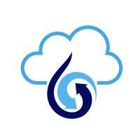 liquiddata systems, inc. logo image