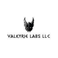 valkyrie labs llc logo image