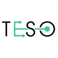 teso logo image