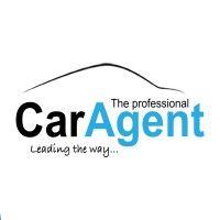 the professional car agent