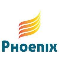 phoenix brand management group logo image