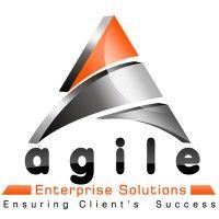 agile enterprise solutions inc logo image