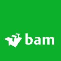 bam bouw en techniek logo image