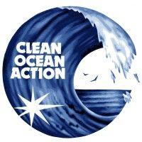 clean ocean action logo image