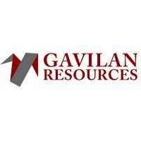 gavilan resources logo image