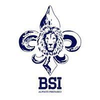 bsi logo image