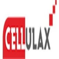 cellulax software services pte limited logo image