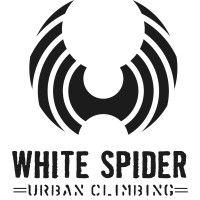 white spider climbing logo image