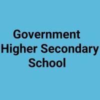 government higher secondary school logo image