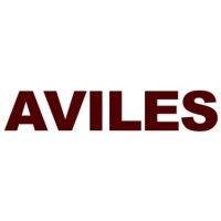 aviles engineering corporation logo image