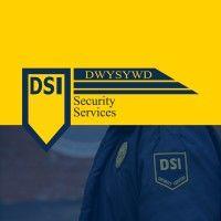 dsi security services