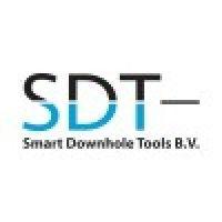 smart downhole tools logo image