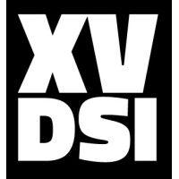 le xv dsi logo image