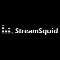 streamsquid logo image