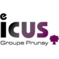 icus logo image