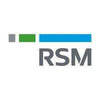 rsm technology cz logo image