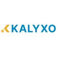 kalyxo logo image