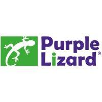 purple lizard logo image