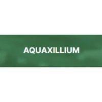 aquaxillium logo image