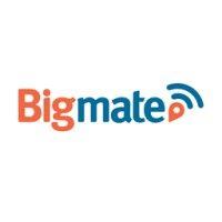 bigmate logo image