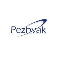 pezhvak network observatory suite logo image