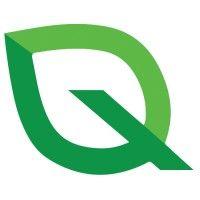 quantumleaf solutions logo image