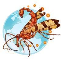 global entomology coalition logo image