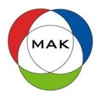 mak consulting ag logo image