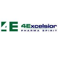 4excelsior inc logo image