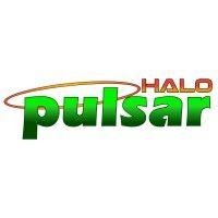 pulsar halo