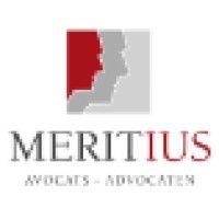 meritius brussels (cyrus ross eeig) logo image