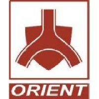 orient energy systems pvt. ltd. logo image