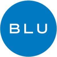 blusource logo image