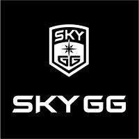 skygg logo image