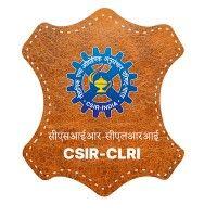 csir - central leather research institute logo image