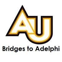 bridges to adelphi program logo image