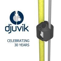 djuvik logo image